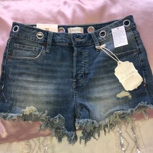 Altard state brand new Jean shorts